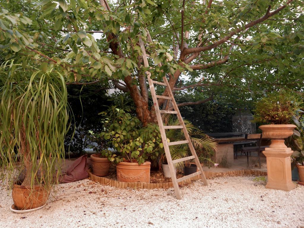 Hotel Vieux Port Panier Jardin Marseille Exteriér fotografie